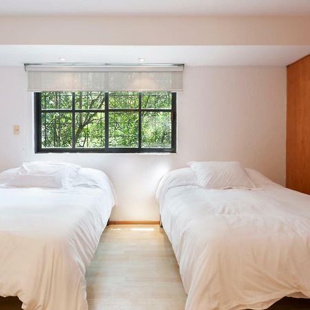 Lovely Apartment Ahuehuetes Mexico City Exterior photo